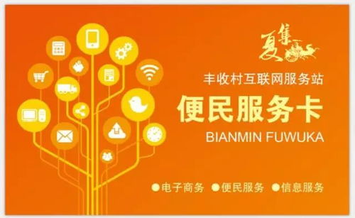 县委副书记顾长荣调研互联网服务站建设与农村增收减债工作
